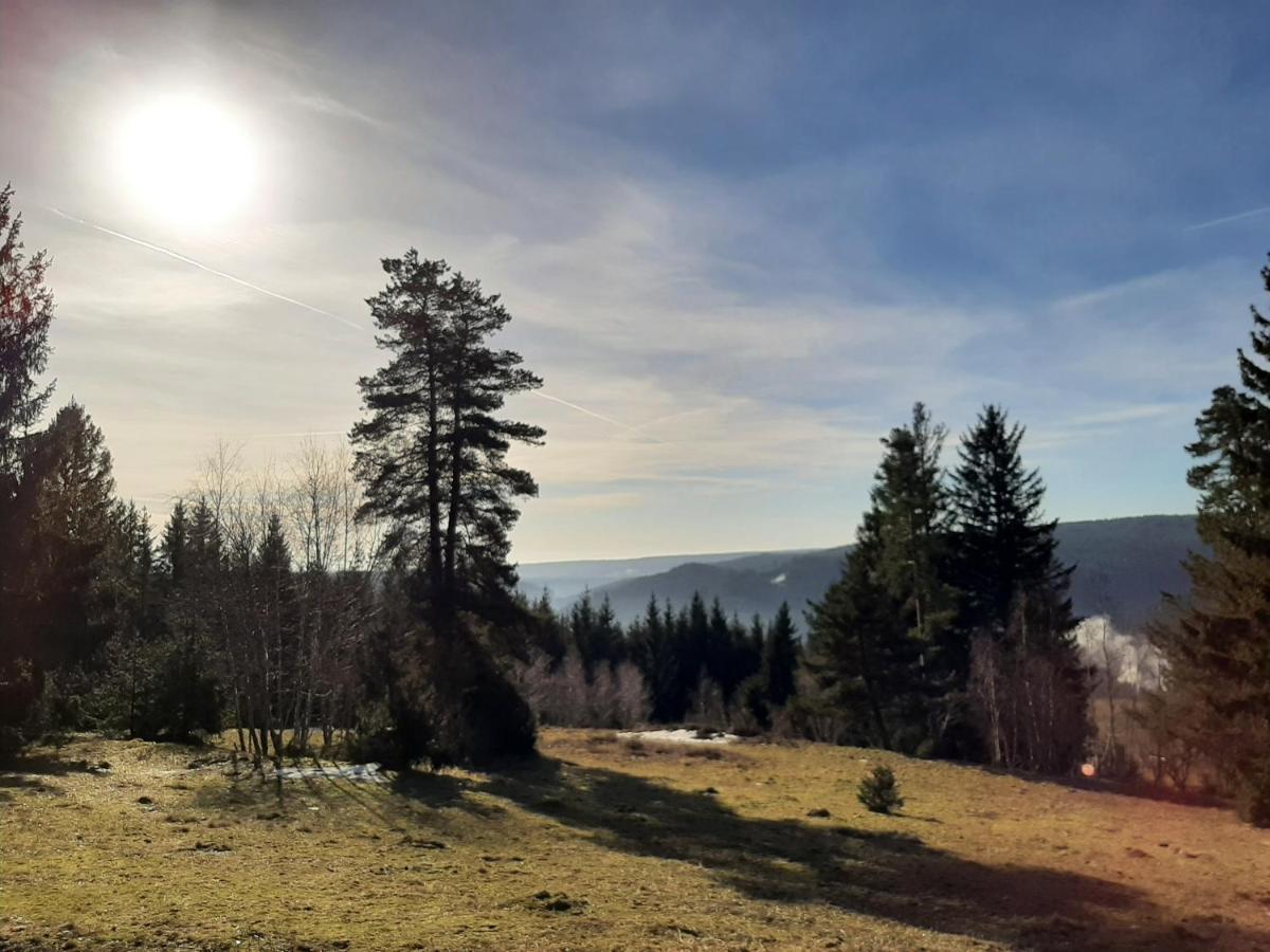 Blockhaustraum Villa Titisee-Neustadt Exterior foto