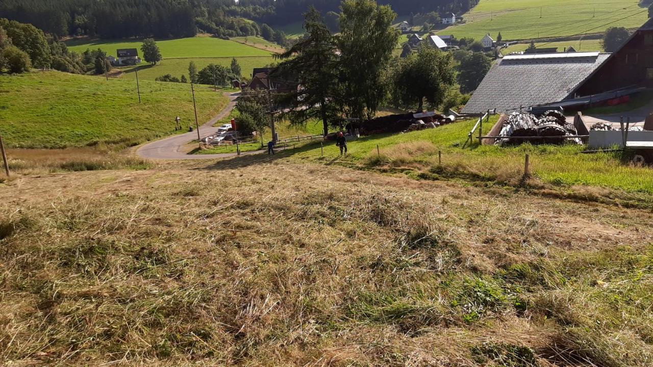 Blockhaustraum Villa Titisee-Neustadt Exterior foto